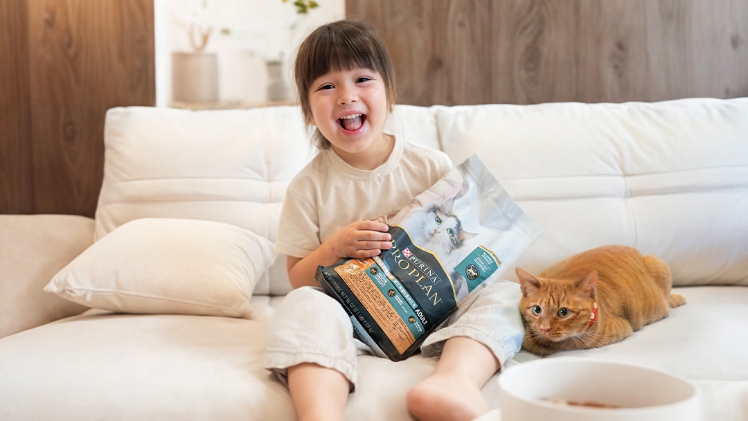 小孩、毛孩不用二選一!三週降低留存在貓毛及皮屑中的過敏原Fel d1達47%