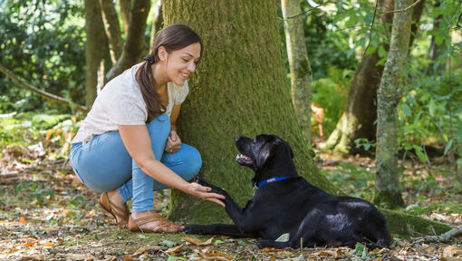 Woman crouched down with dog near a tree