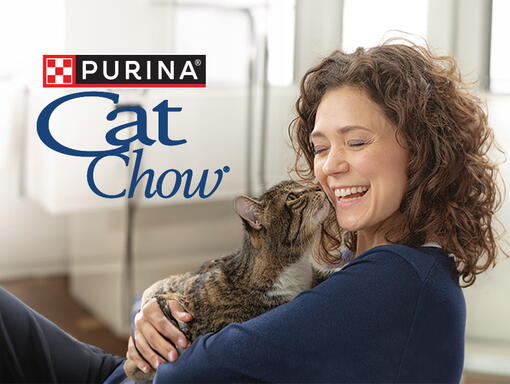 探索 Cat Chow 系列