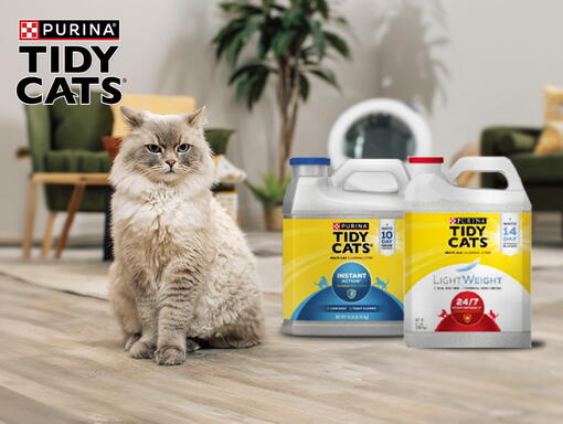 探索 Tidy Cats貓砂 系列